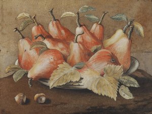 梨とヘーゼルナッツのある静物 作： Giovanna Garzoni